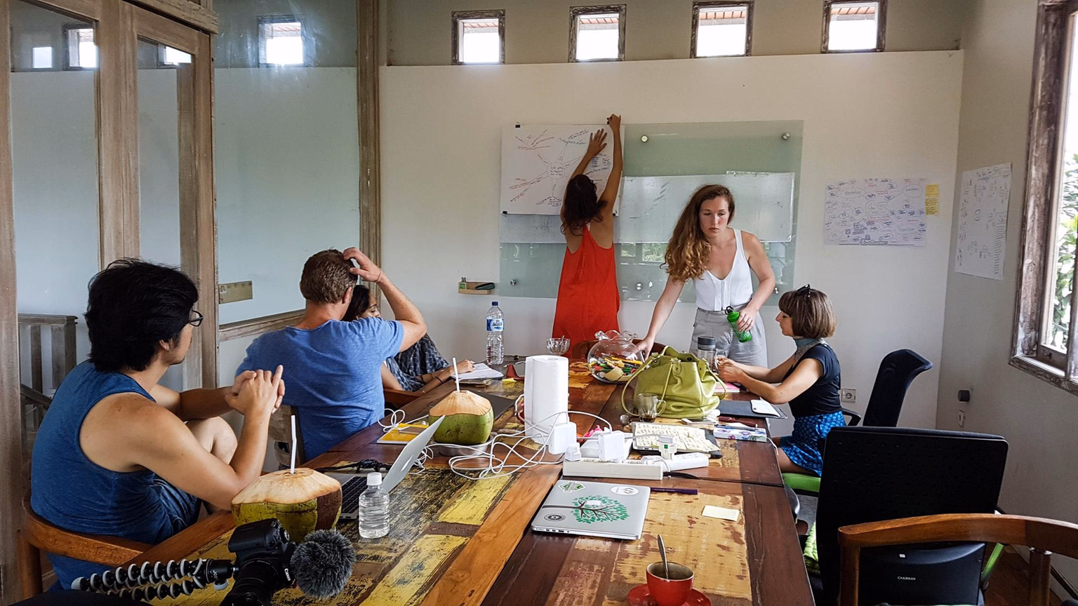 Leila presents her project idea to the group